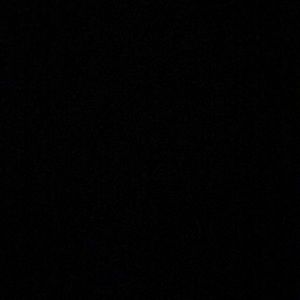 Meet your Posher, Brendan